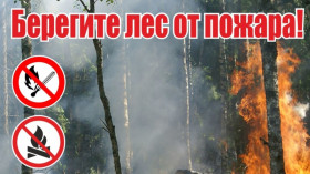 Опасность лесных пожаров.